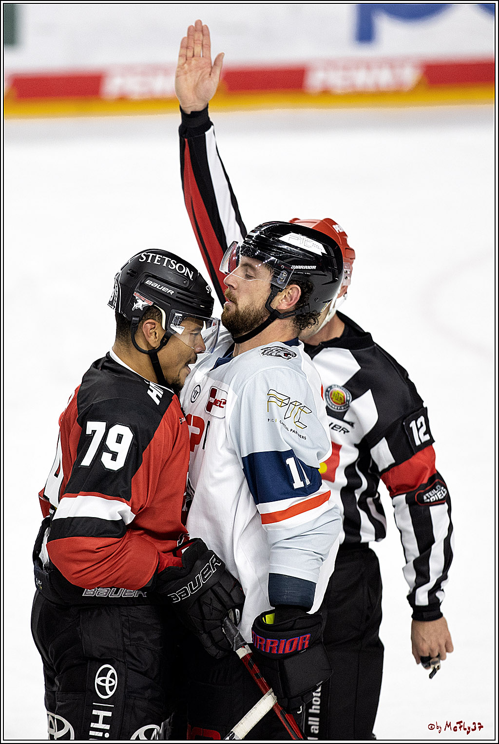 PENNY DEL;  Koelner Haie - Nuernberg Ice Tiger; Koeln, 21.09.2021